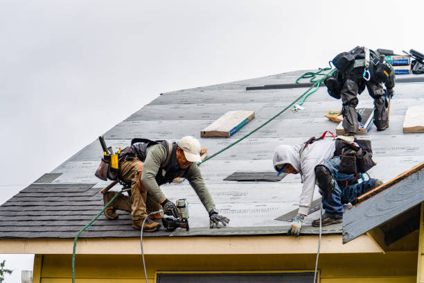 Professional Storm Damage Roof Repair technician working in Perry, KS